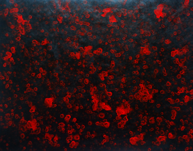 Wenlan Hu Frost - Natural Expressionism Series II No. 001