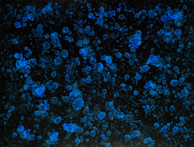 Wenlan Hu Frost - Natural Expressionism Series II No. 002