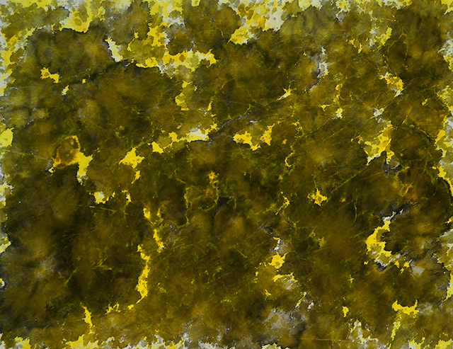 Wenlan Hu Frost - Natural Expressionism Series II No. 041